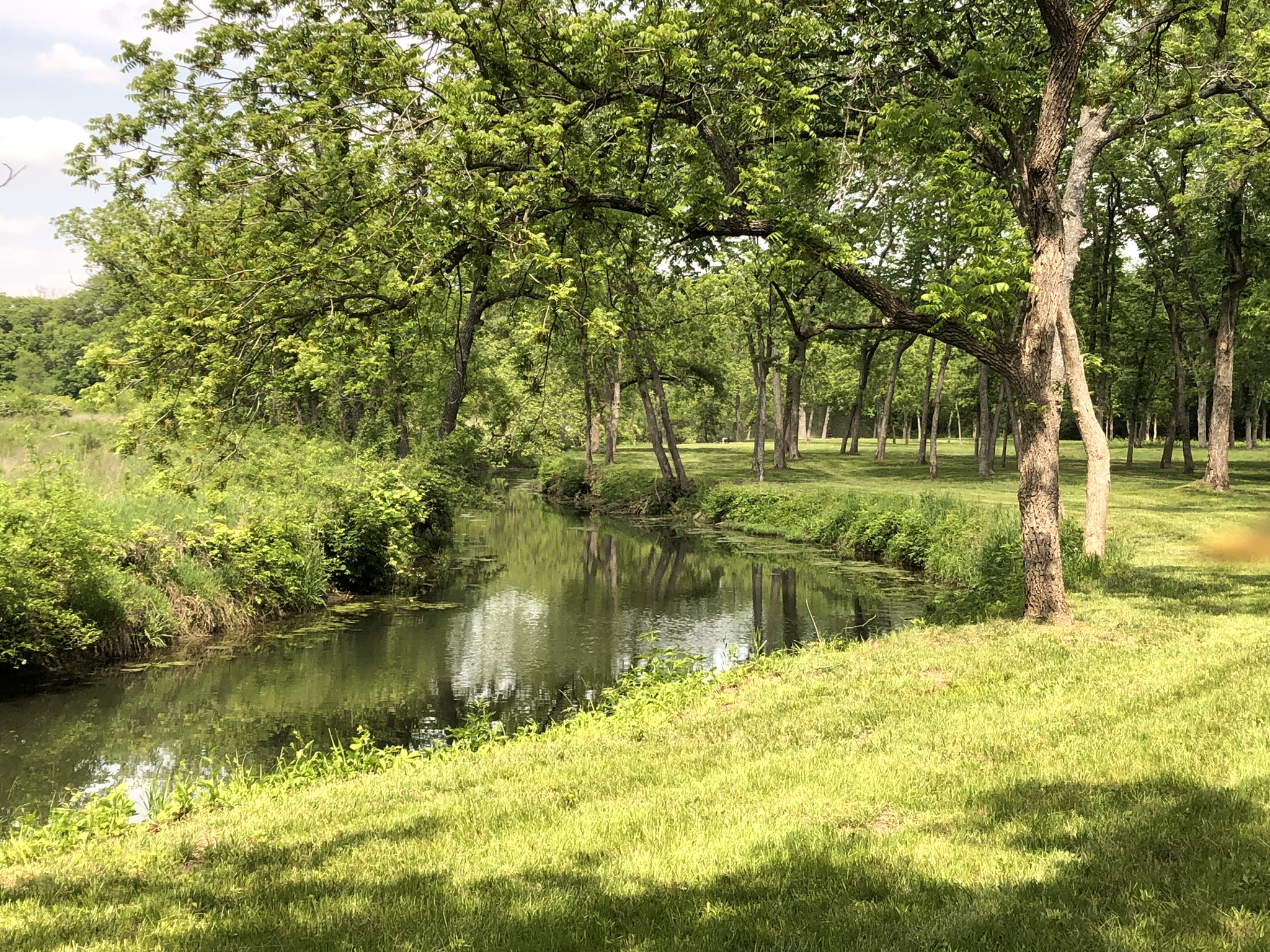 Kill Creek at Hidden Timber Farm horse pasture boarding
